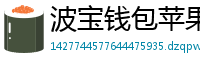 波宝钱包苹果版安装教程